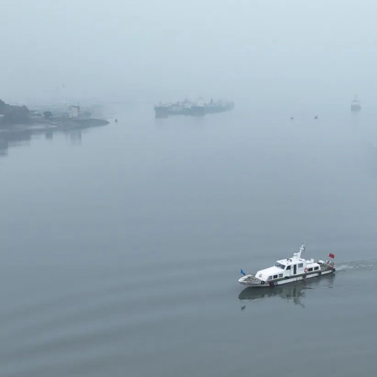 Un épais brouillard affecte ! Veuillez passer commande à l'avance !